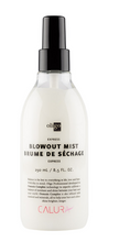 Load image into Gallery viewer, Oligo Express Blowout Mist
