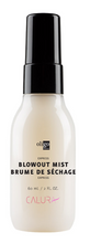 Load image into Gallery viewer, Oligo Express Blowout Mist